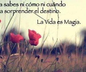 Gema