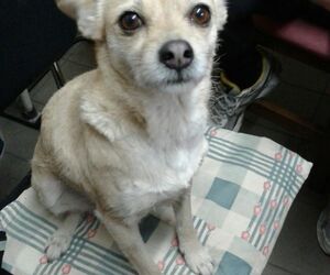Rober