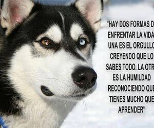 Jose Ant Corra