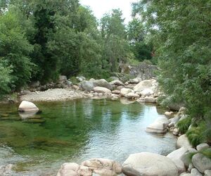 albabucha