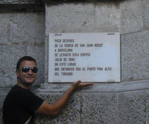 david