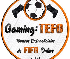 Gaming TEFO