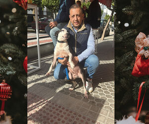 Francisco Jose