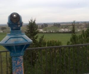 Sevillano81