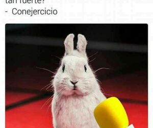 Andres