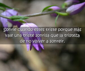 Divina