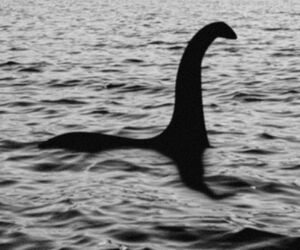 Loch Nessie