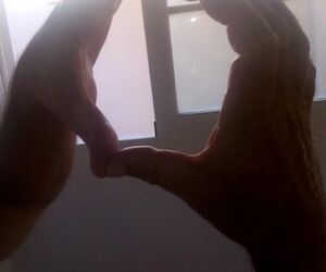 Pareja49y50