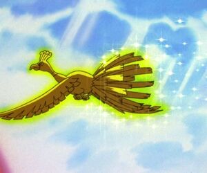 Flying HouHou