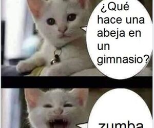 andrea