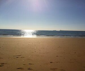 reyes