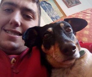 Armando