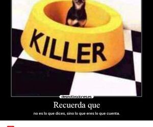 Ivic