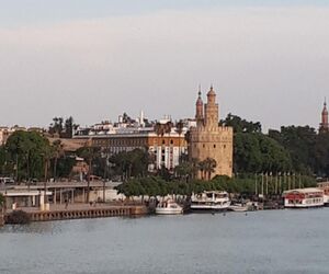 Maria MP