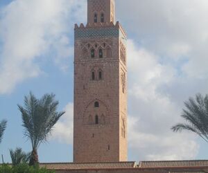 Arquera