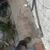 Jose Antonio