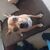 rocio_n16@hotm