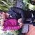 Jose