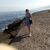 Toï¿½i