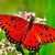 Mariposasevill