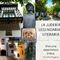 LA JUDERíA LEGENDARIA Y LITERARIA