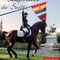 Gran Semana Anglo-Árabe de Sevilla 2022, PARQUE ALAMILLO