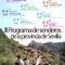 SENDERISMO FEDERACION ANDALUZA MONTAñISMO