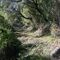Ruta Sierra de Aracena: Circular de Aracena a Linares de la Sierra por el Alto del Chorrito