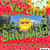 Clases de Verano de Batucada
