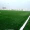 futbol 7