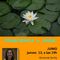 Meditación Esencial Consciencia y Amor