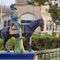 COMPLETA. Visita guiada Cervantes en Sevilla