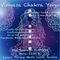 Curso taller de vinyasa chakra yoga