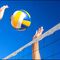 Voleibol
