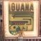 Salir por 3l Iguana Snack-s. Plan tarde-noche. Flamenqueo y más...