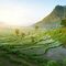 Viaje de Voluntariado a Bali