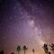 Perseidas