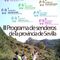 Programa senderos provincia sevilla