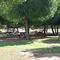 PICNI EN EL PARQUE DEL TAMARGUILLO