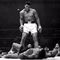 Boxeo!!