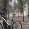 MTB carriles tierra