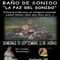 Concierto: -La Paz del Sonido-