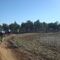 Ruta a Los Palacios en BTT