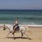 Paseo a caballo