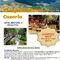 Sierra de Cazorla 4 dí­as 