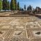 Visita guiada a Italica  y San Isidoro del Campo