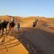 Viajar por el desierto