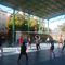 Voleibol en Sevilla