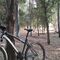 Ruta Mtb x caminos