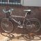 Pasear en bici 